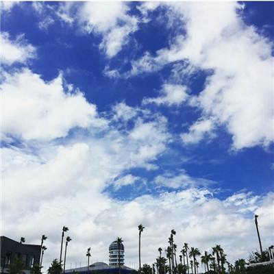 365平台官方版下载手机app下载