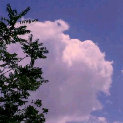 乐鱼app下载手机app下载